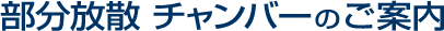 部分放散チャンバーのご案内