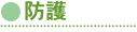 防護